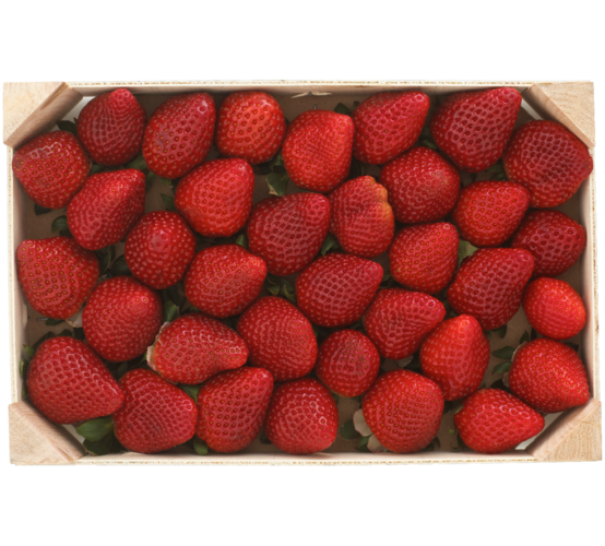 Spanien, kl. I. 900 g. Kg-pris 53,33. Maks. 3  kasser pr. kunde.