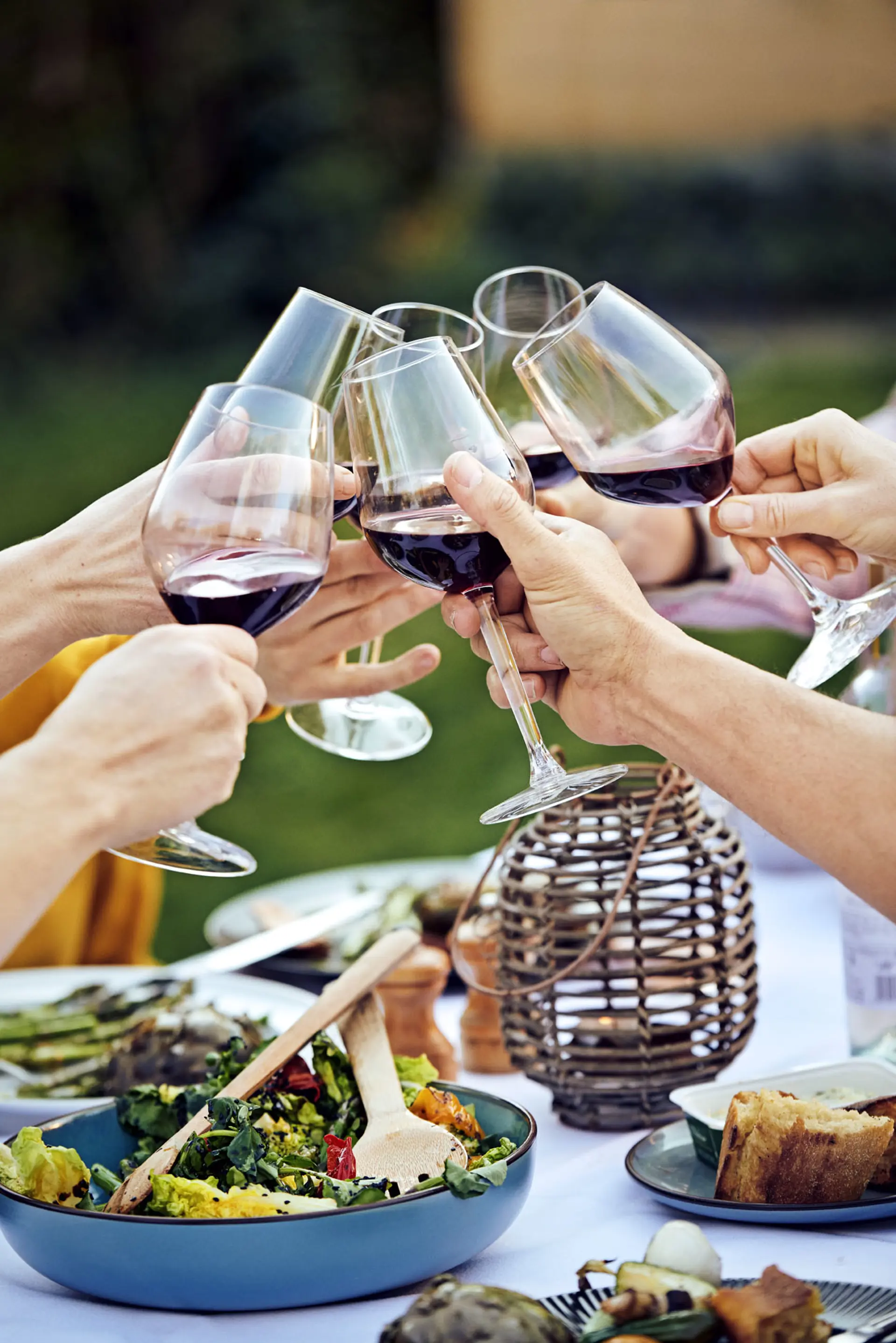 Skål og fejring til jubilæumsfest 